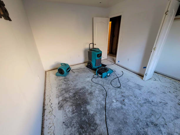Best Water damage restoration near me  in Marlin, TX